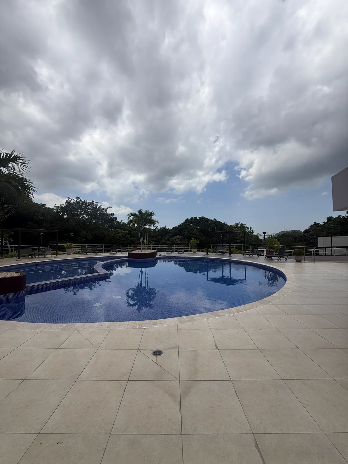 Piscina del club deportivo, rodeada de palmeras y bosque