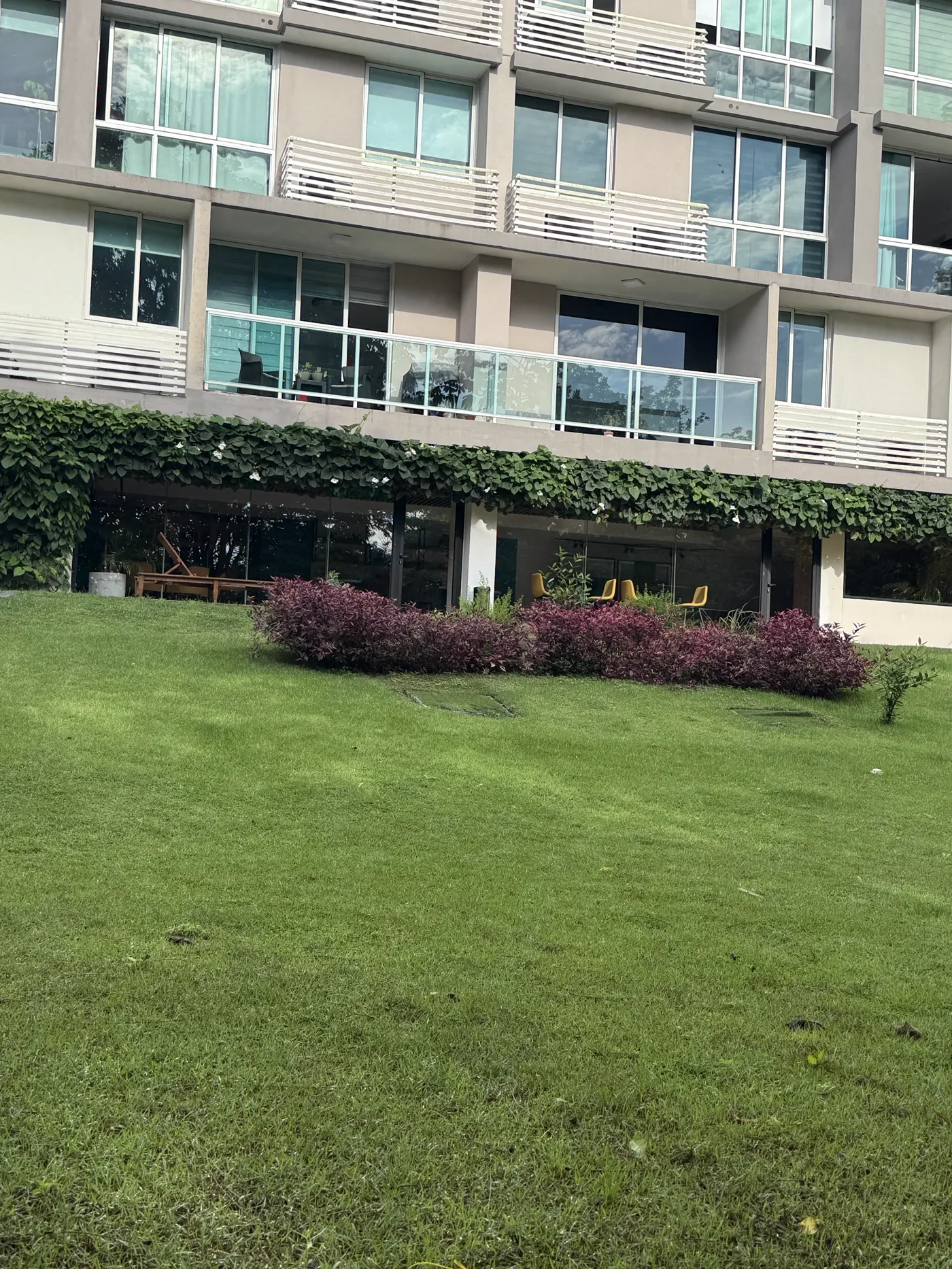Jardines del edificio con arbustos morados frente al área social