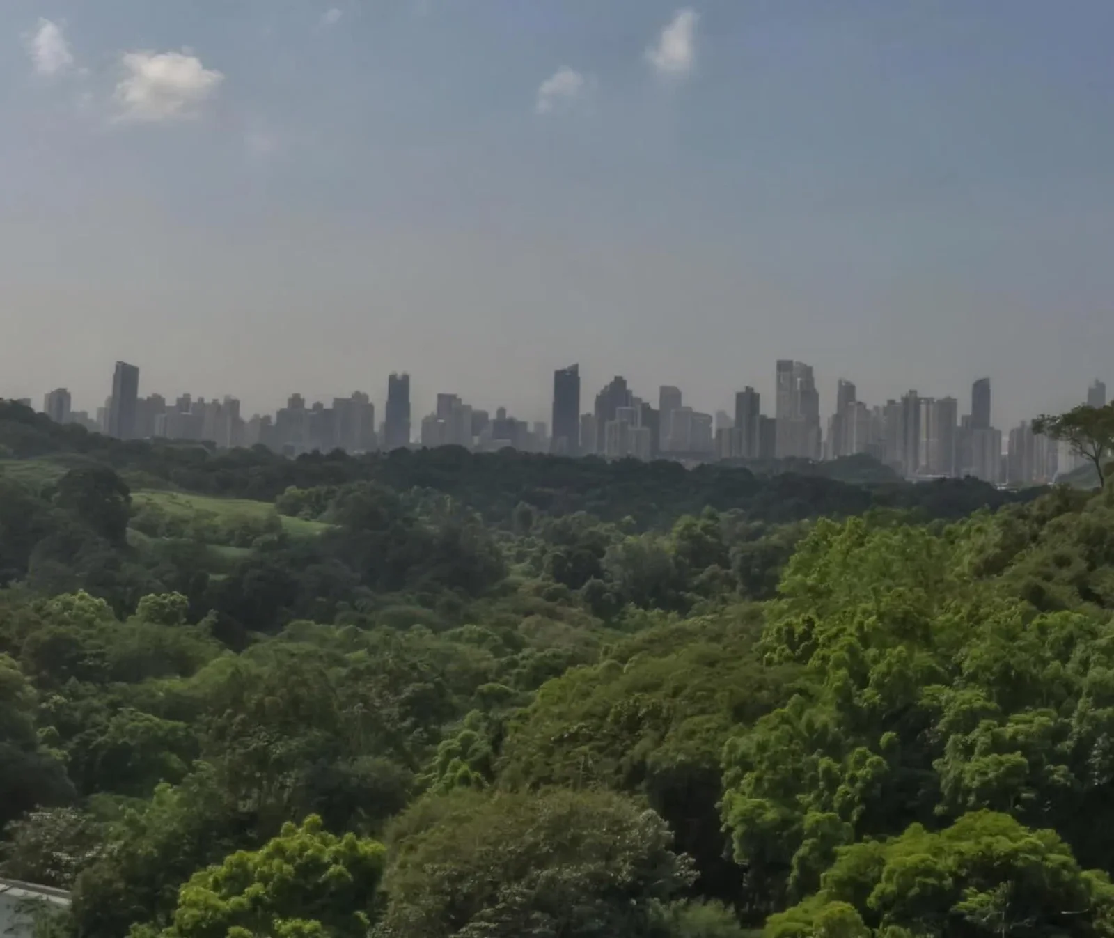 Perfil de la Ciudad de Panamá visto desde Forest Gate, sobre el bosque