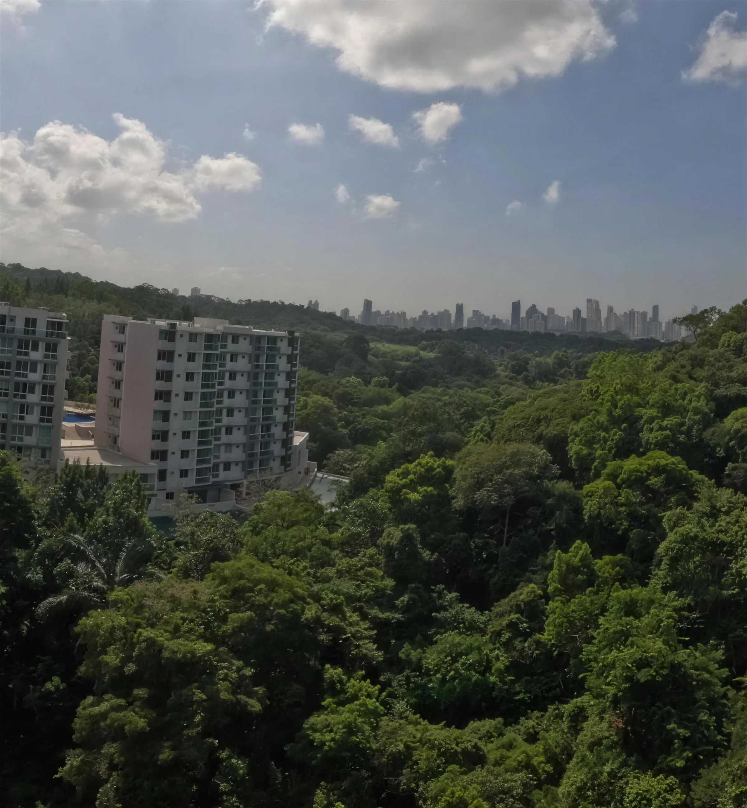 Bosque denso con un edificio de Forest Gate y el perfil de la Ciudad de Panamá al fondo, en la misma toma